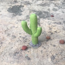 28mm cactus Desierto terreno vegetación mesa rpg martillo guerra dnd pionero dispersión 3d print model - Mito3D