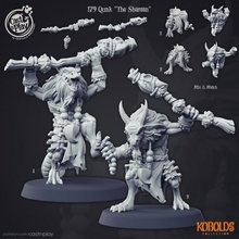 qunk 'the shaman' pre-supported tabletop dragon dungeons enemy d&d enemies encounter dnd pathfinder shaman kobold encounters kobolds 3d print model - Mito3D
