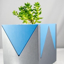modern planter desktop cactus plants indoor succulents succulent cacti house-plants 3d print model - Mito3D