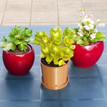 klasik Kahverengi bitki tencere Su tabak çiçek ekici sulu 3d print model - Mito3D