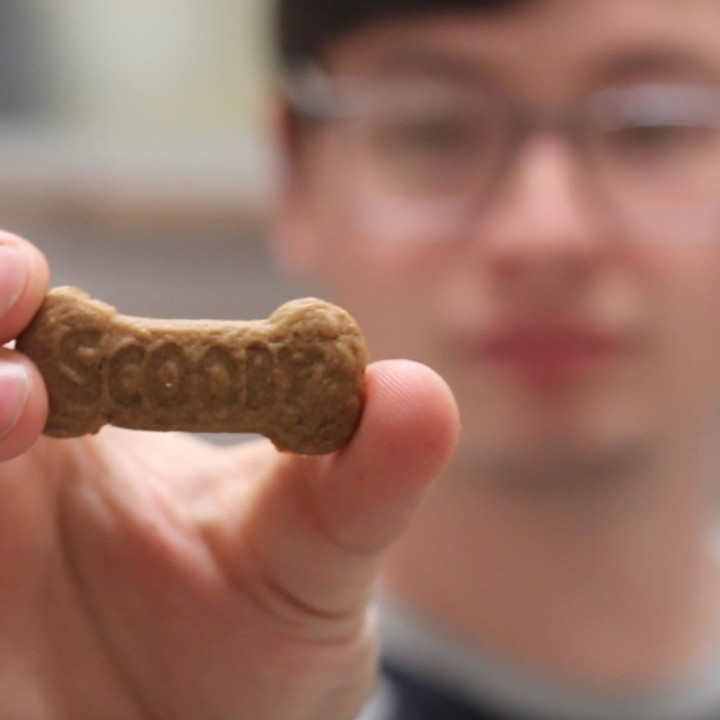 biscoitos scooby spuntini biscotto taglierina doo biscoito 3D print model - Mito3D
