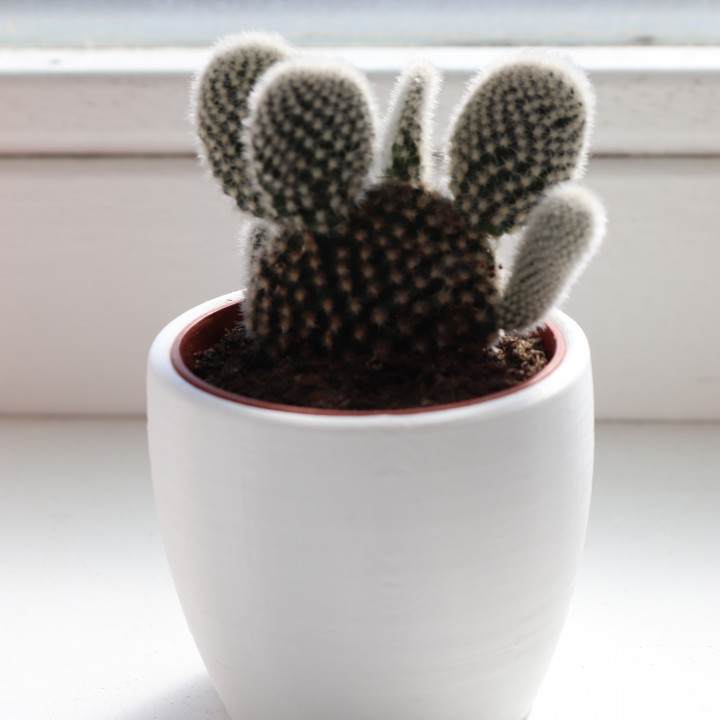 simple flower pot plant cactus minimalistic 3D print model - Mito3D