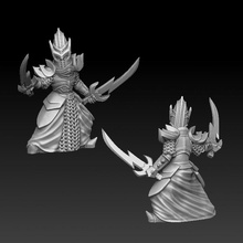 dark elf warrior dual swords challenge tabletop miniature 3d print model - Mito3D