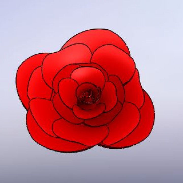Rose 3D print model - Mito3D