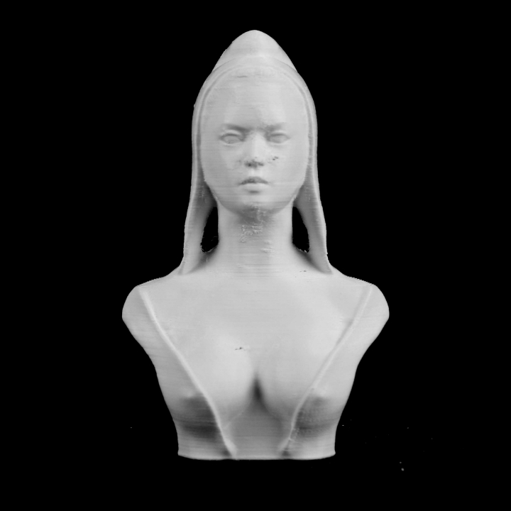 marianne brigitte bardot union des mus nationaux parís scan 3D print model - Mito3D