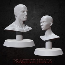 práctica bustos ventilador Arte gratis busto muñeca cara hembra regalo piel masculino pintar maniquí 3d print model - Mito3D