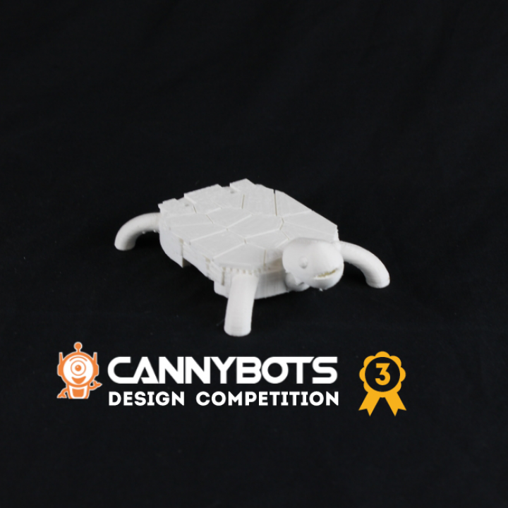 daniel's tortoise cannybot toys & games turtle cannybotscompetition 3D print model - Mito3D