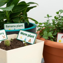 multicolore plante Étiquettes jardin fleur herbe marque jardinage marqueur surgir 3d print model - Mito3D