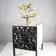 asanoha fioriera giardino giapponese desktop fioriere piante grasse succulenta cactus kumiko 3d print model - Mito3D