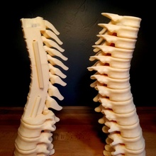 modular spine candle holder & garden bone fantasy halloween prop magic supportless vertebrae 3d print model - Mito3D