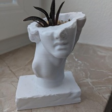 helios statue succulent pot meme plant greek sculpture houseplant vaporwave macintosh floral shoppe 3d print model - Mito3D