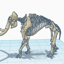 yünlü mamut iskelet 3d print model - Mito3D