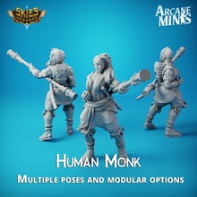 human monk - carren pirates store beautiful dragons dungeons elf female fighter girl hero mini model rpg warrior woman steampunk miniature staff holy tabletop heroes captain minis d&d 28mm dnd merchant heroine 32mm 3d print model - Mito3D