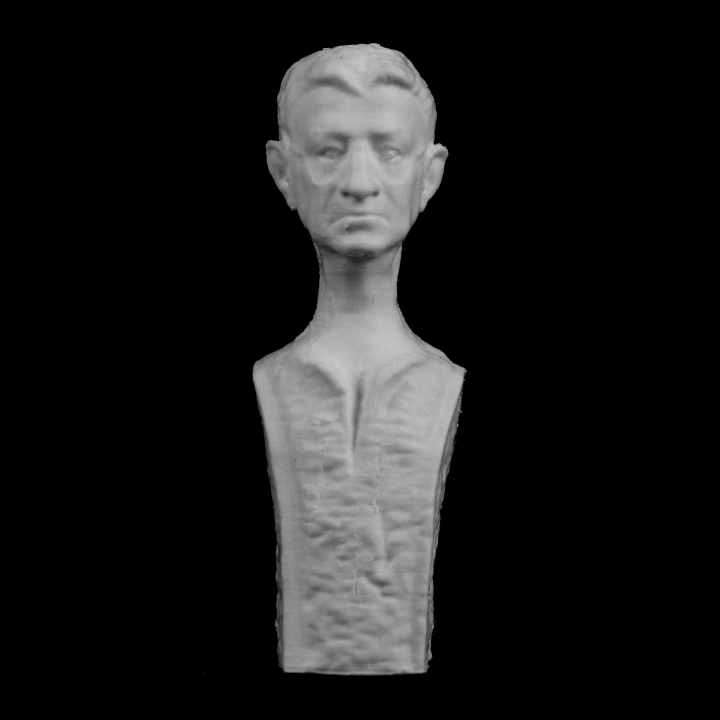 dr cornel petrasievici lugoj romania scan 3D print model - Mito3D