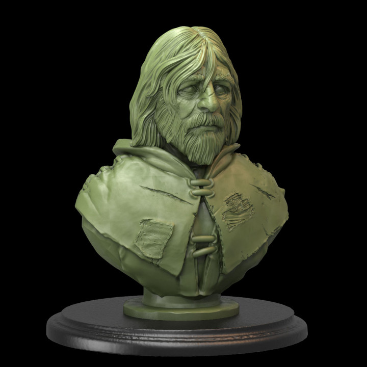 Envejecido granjero pre supported Tienda stl busto fantasía pintura miniatura 3dprinting esculpir presupuesto 3D print model - Mito3D