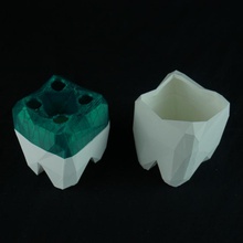 poli cepillo dientes pasta titular jardín cuarto baño decoración 3d print model - Mito3D