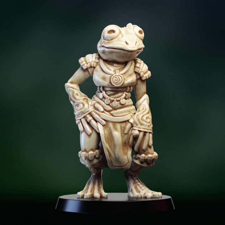 kurbağa halkı kız masaüstü hayvan ejderhalar Zindanlar fantezi şekil kahraman rpg minyatür npc grung 3D print model - Mito3D