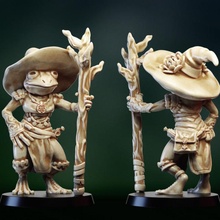 frogfolk girl mage tabletop dragons dungeons fantasy figure hero rpg miniature witch frog npc grung 3d print model - Mito3D