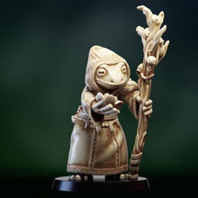 druida xamã sapo tampo mesa animal dragões masmorras fantasia figura herói rpg miniatura mago rã npc Grung 3d print model - Mito3D