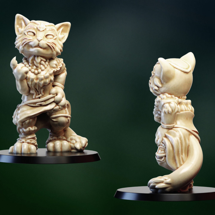 catfolk courtesan girl tabletop cat dragons dungeons fantasy figure hero rpg miniature furry peasant commoner npc 3D print model - Mito3D