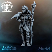 muriel druid plains tabletop mini raven miniature mage caster dnd cleric possum 3d print model - Mito3D