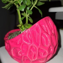 voronoi Oeuf pot plante vase 3d print model - Mito3D