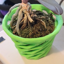 twist net pot plant vase voronoi 3d print model - Mito3D