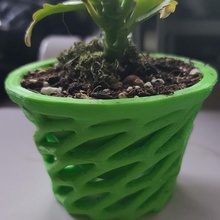 bükülme ağ toprak tencere bitki vazo Voronoi 3d print model - Mito3D