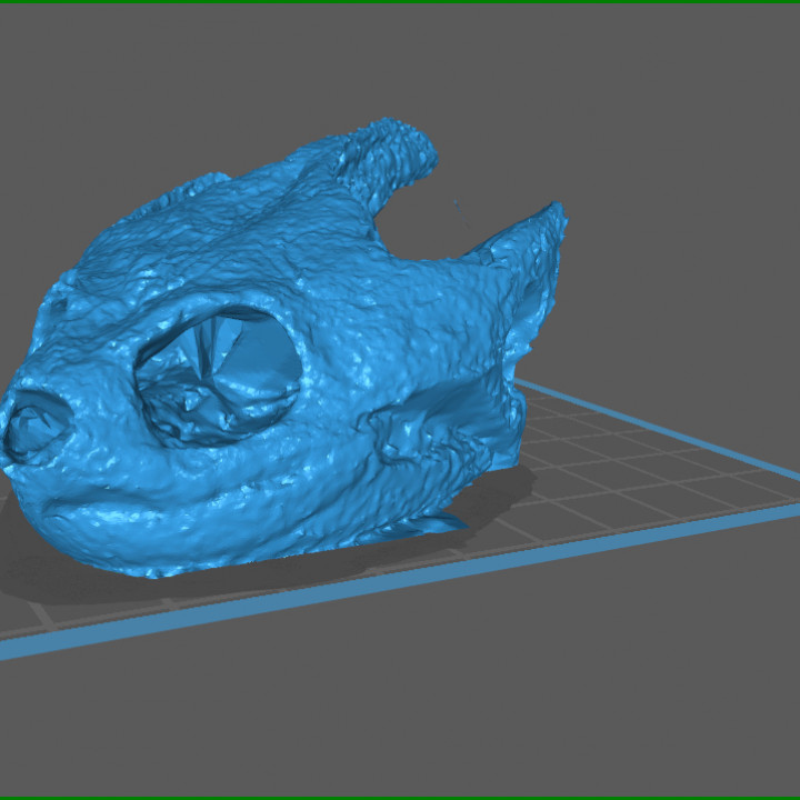 snapping turtle skull anatomy reptile 3D print model - Mito3D