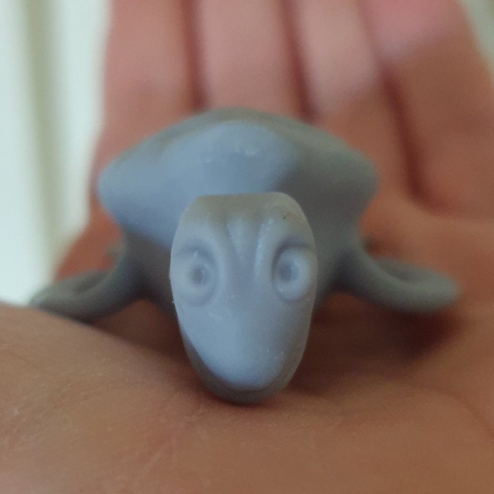 turtle miniature diorama reef 3D print model - Mito3D