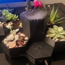 humidifier planter succulent 3d print model - Mito3D