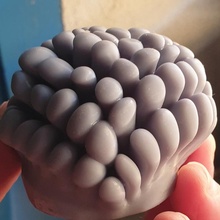 anemone 4 diorama reef anemone 3d print model - Mito3D