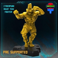 cyberpunk muay tailandese combattente tavolo fisico maschio mma cyberpunkred 3d print model - Mito3D