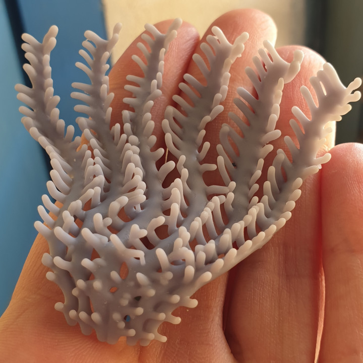 corallo diorama barriera corallina 3D print model - Mito3D