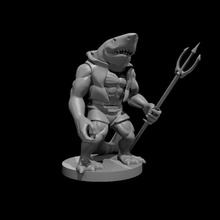 wereshark requin donjons Dragons dnd 3d print model - Mito3D