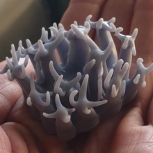 anemone 7 diorama reef 3d print model - Mito3D