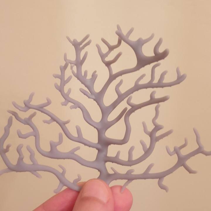corallo diorama barriera corallina 3D print model - Mito3D