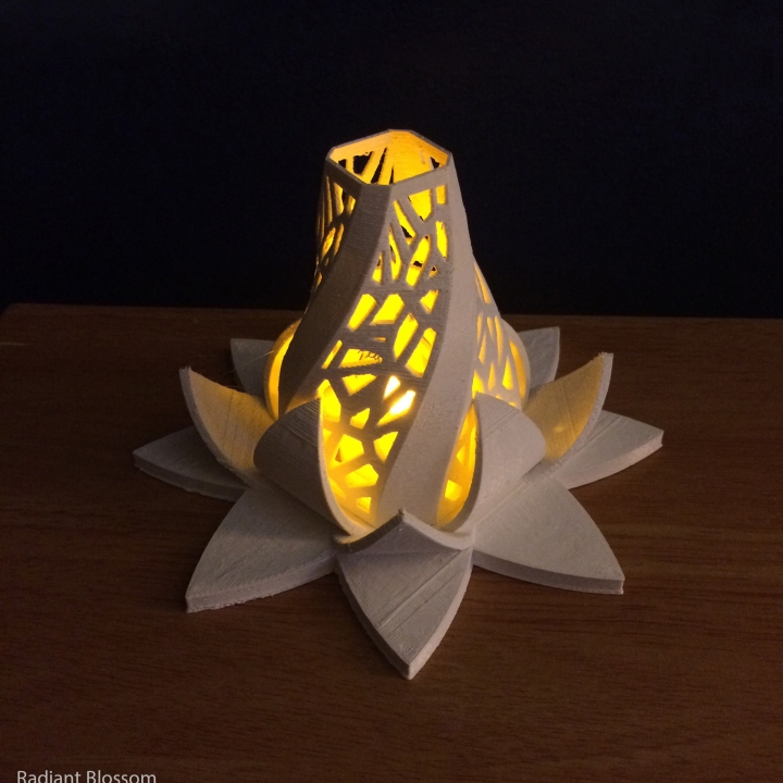 radiant blossom & garden flower decoration lighting kitronikcontest beautifulhome 3D print model - Mito3D