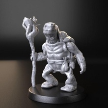 stregone tartaruga tavolo miniatura Dungeons and Dragons 3d print model - Mito3D