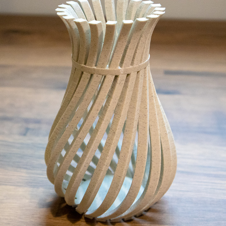 seltsam verdreht Vase Garten Kunst dekorativ Spaß Twist Haushalt organisch abstrakt künstlerisch herausfordernd wellig wellenartig 3D print model - Mito3D