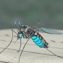 sivrisinek robot 3d böcek robotik 3dprinting 3dmodeling 3d print model - Mito3D