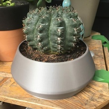semplice cactus fioriera 3d print model - Mito3D