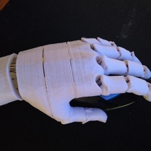 Sophie links Hand artikuliert 3d print model - Mito3D