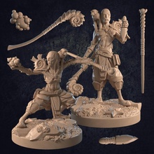mordechai aquatic mage - presupported tabletop dragon dragons dungeons fish hero mini monkey character wizard miniature trappers warlock dnd druid sorcerer spellcaster merfolk lodge 3d print model - Mito3D