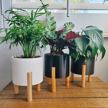 modern planter 4inch 6 inch garden plants indoor 3d print model - Mito3D