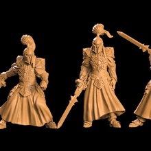 paladini tavolo armatura draghi elfo fantasia gioco giocare spada warhammer guerriero miniatura prigione paladino dnd esploratore schermaglia dinamico combattenti lance incrociate guildball 3d print model - Mito3D