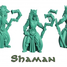 xamã druida tampo mesa dragões duende mágico Toque martelo guerra madeira personagem mago Função jogo masmorra espírito cetro sagrado descobridor totem heroquesto Sylvain 3d print model - Mito3D