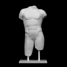 torso masculino union des mus nationaux parís scan 3d print model - Mito3D