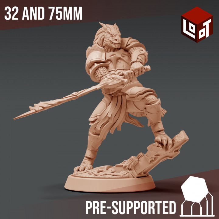 sunathaer caex - wightpocalypse loot studios tabletop dragon epic fantasy fighter game hero mini rpg warrior dragonborn boardgame dungeonsanddragons wargame d&d role-playing pathfinder lootstudios draconic 3D print model - Mito3D