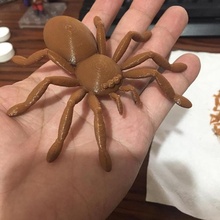 spider 3d print model - Mito3D